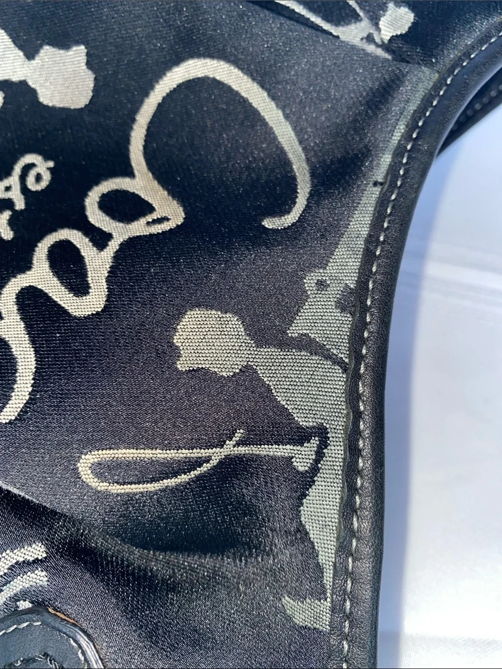 Coach hobo bag
